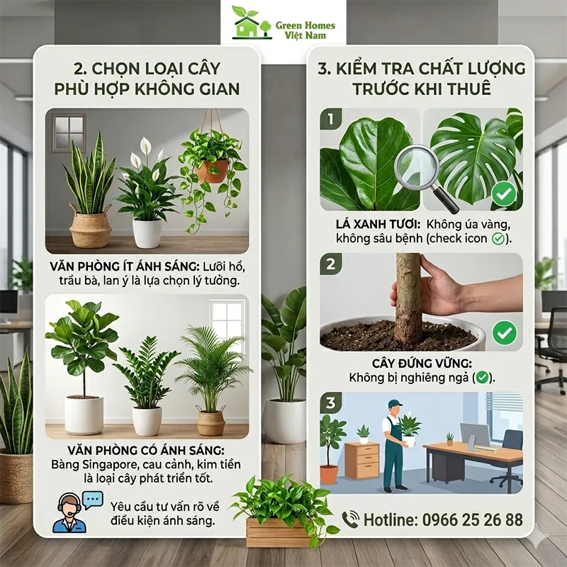 Chọn loại cây cảnh văn phòng phù hợp với không gian của bạn